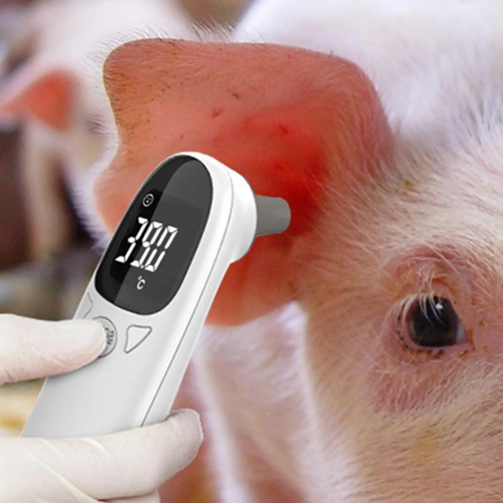 Pet Ear Digital Thermometers High-Precision Electronic Thermometers Device Non-Contact Pet Supplies For Dog Puppy