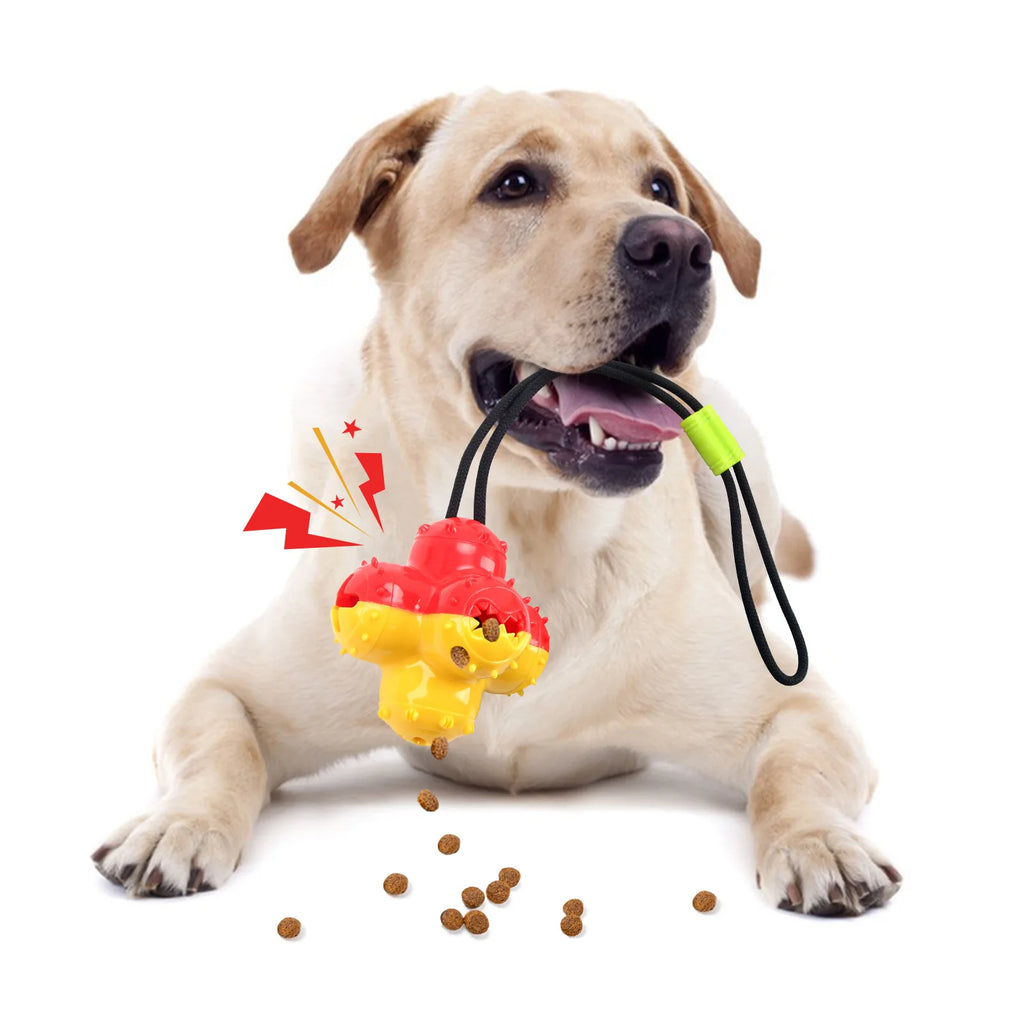 Pet Dogs Make Sounds, Play with Toy Balls, Leak Food Grind Teeth, Clean Teeth, Be Chewy and Have Fun Outdoors To Relieve Boredom