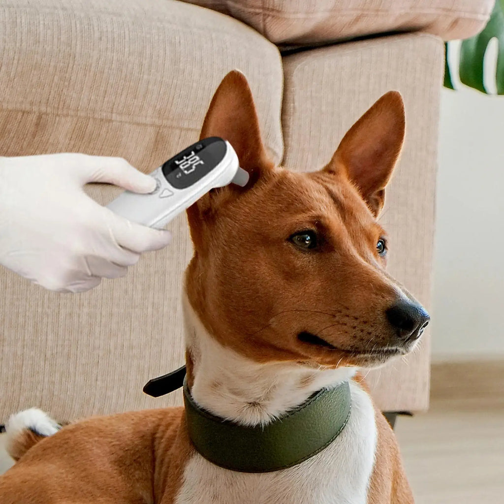 Pet Ear Digital Thermometers High-Precision Electronic Thermometers Device Non-Contact Pet Supplies For Dog Puppy