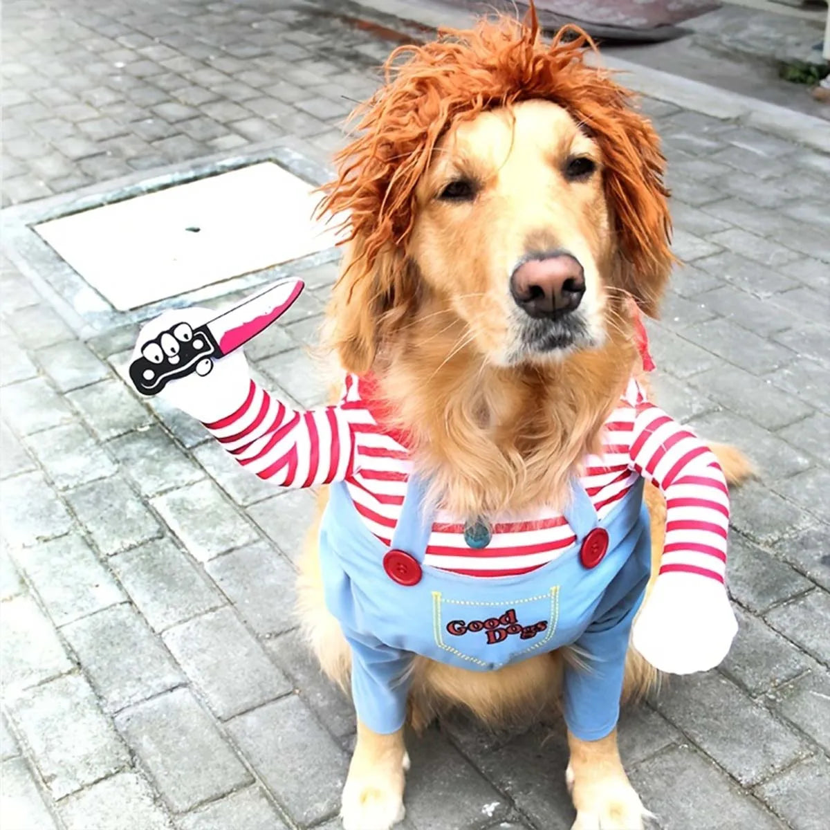Pet Festival Funny Set Halloween Cat Dog Costumes Novelty Adjustable Pet Cosplay Clothes For Cats Medium Large Dogs Bulldog Pug