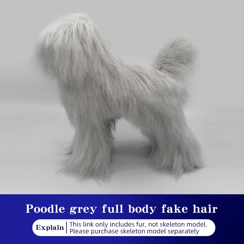 Pet simulation hair  beauty fake beautician practicing dog standard poodle full body  skeleton model dog for pet grooming