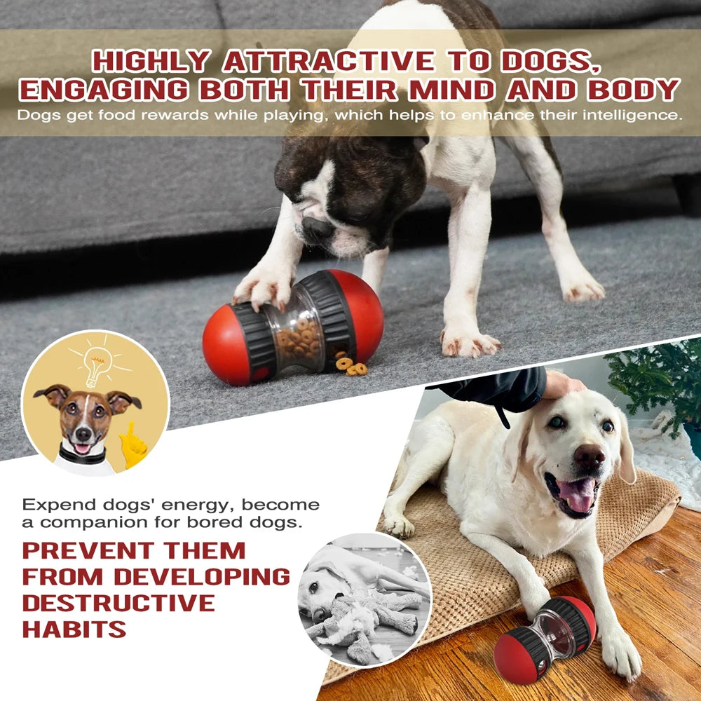 New Dog Toy For Small Medium Large Dogs Cats Slow Feeder Pet Improve IQ Indoor Training Puppy Toys Chihuahua Beagle Pet Supplies