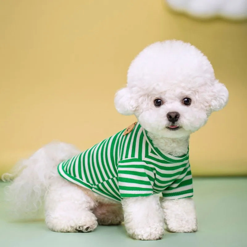 Summer Pet Clothes for Small Dogs Fashion Dog Shirt Bear Print Puppy Thin Shirt Cute Cat Strip Vest Chihuahua Clothes Pet Shirt