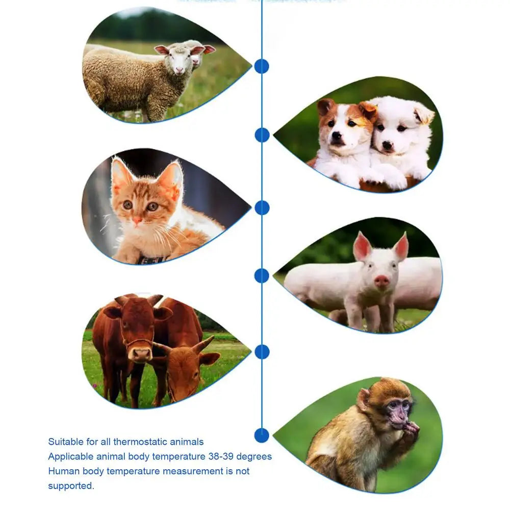 Pet Ear Digital Thermometers High-Precision Electronic Thermometers Device Non-Contact Pet Supplies For Dog Puppy