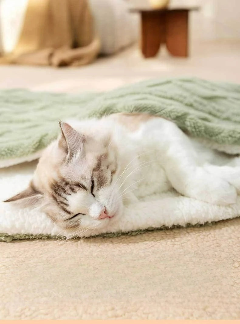 Thickened Pet Blanket Ultra-soft Pet Blanket Plush Pet Blanket for Dogs Cats Warm Soft Sleeping Mat Comfortable for Winter