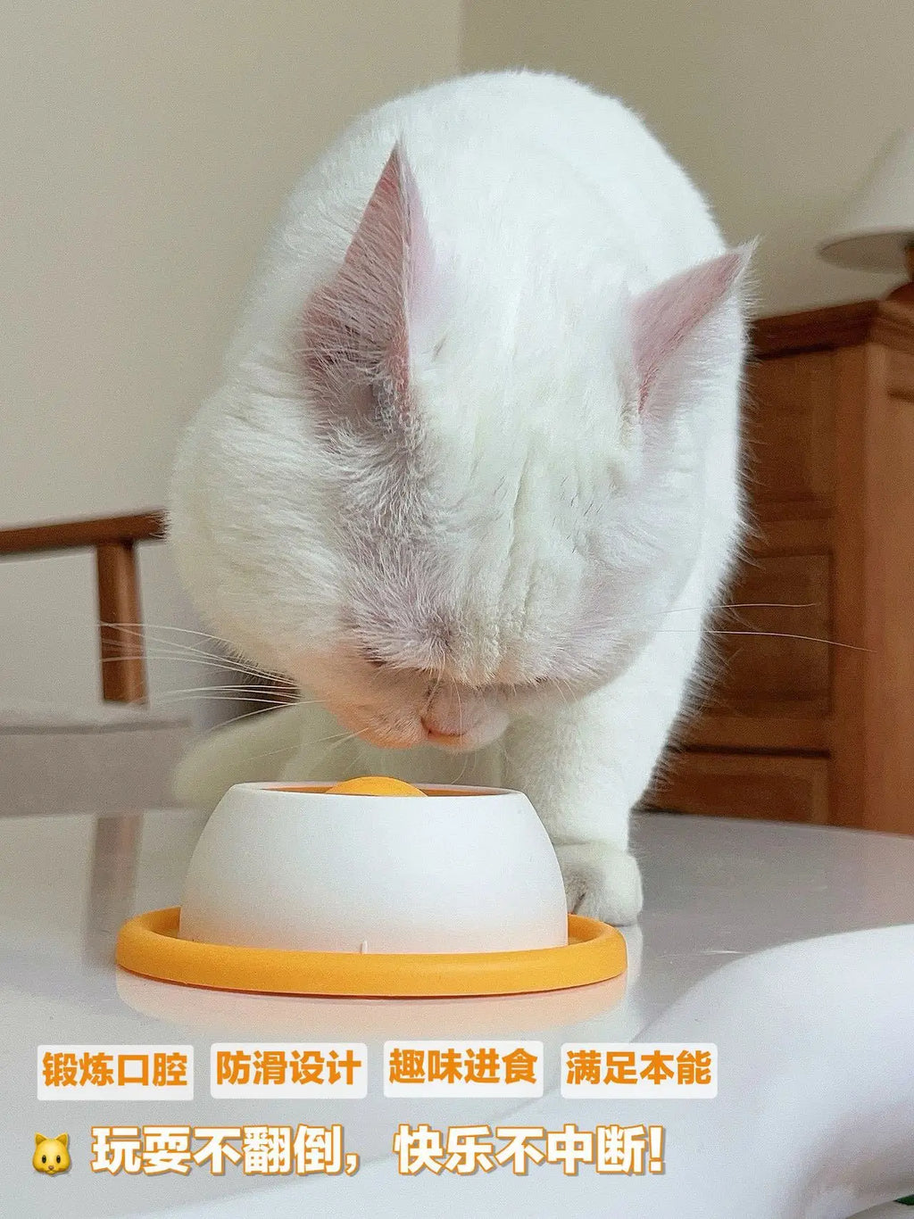 Dog interactive toys, feeding device, puppy training and intelligence toys, cat feeding cage