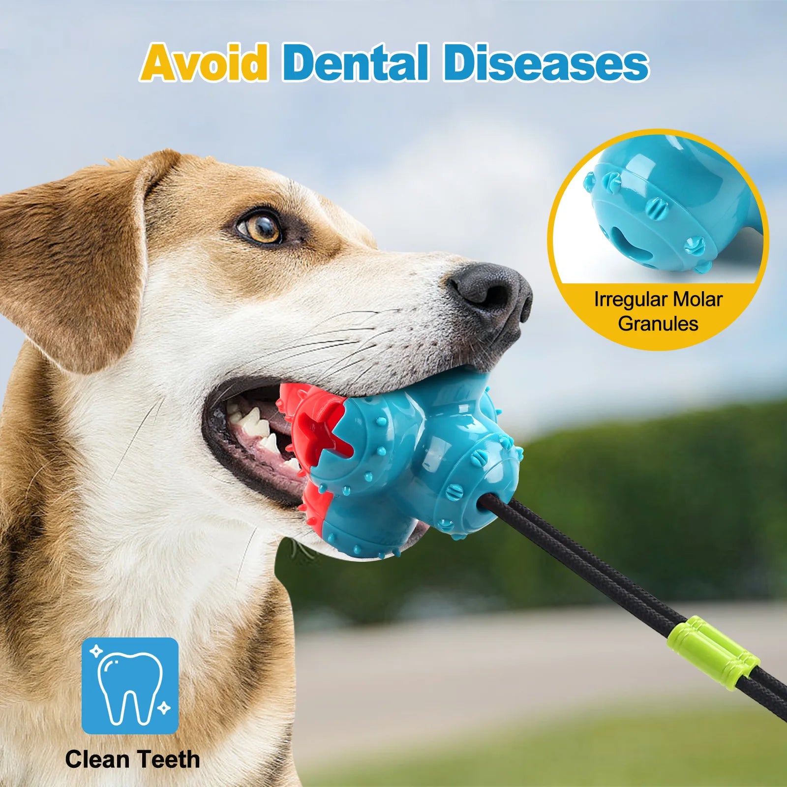Pet Dogs Make Sounds, Play with Toy Balls, Leak Food Grind Teeth, Clean Teeth, Be Chewy and Have Fun Outdoors To Relieve Boredom