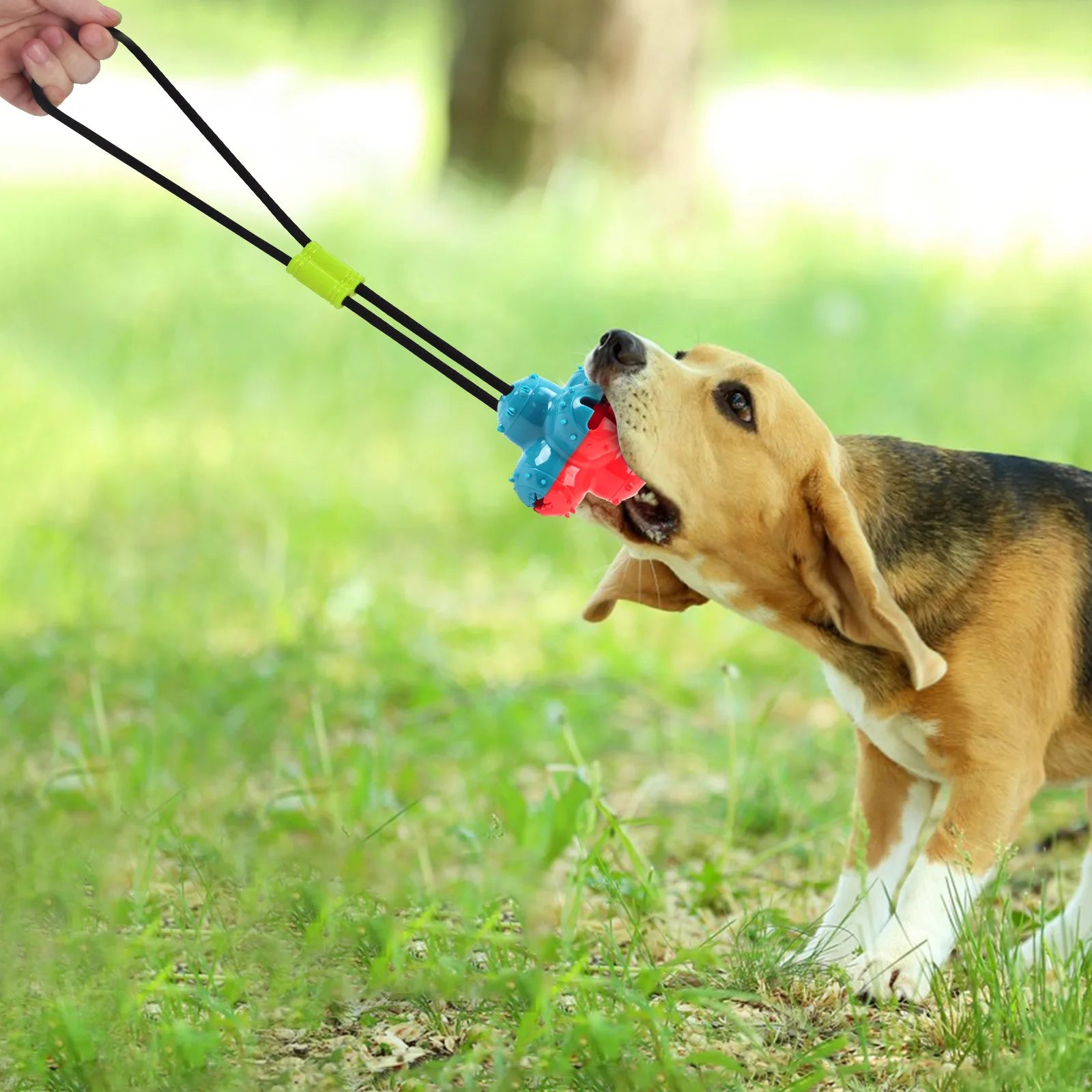 Pet Dogs Make Sounds, Play with Toy Balls, Leak Food Grind Teeth, Clean Teeth, Be Chewy and Have Fun Outdoors To Relieve Boredom