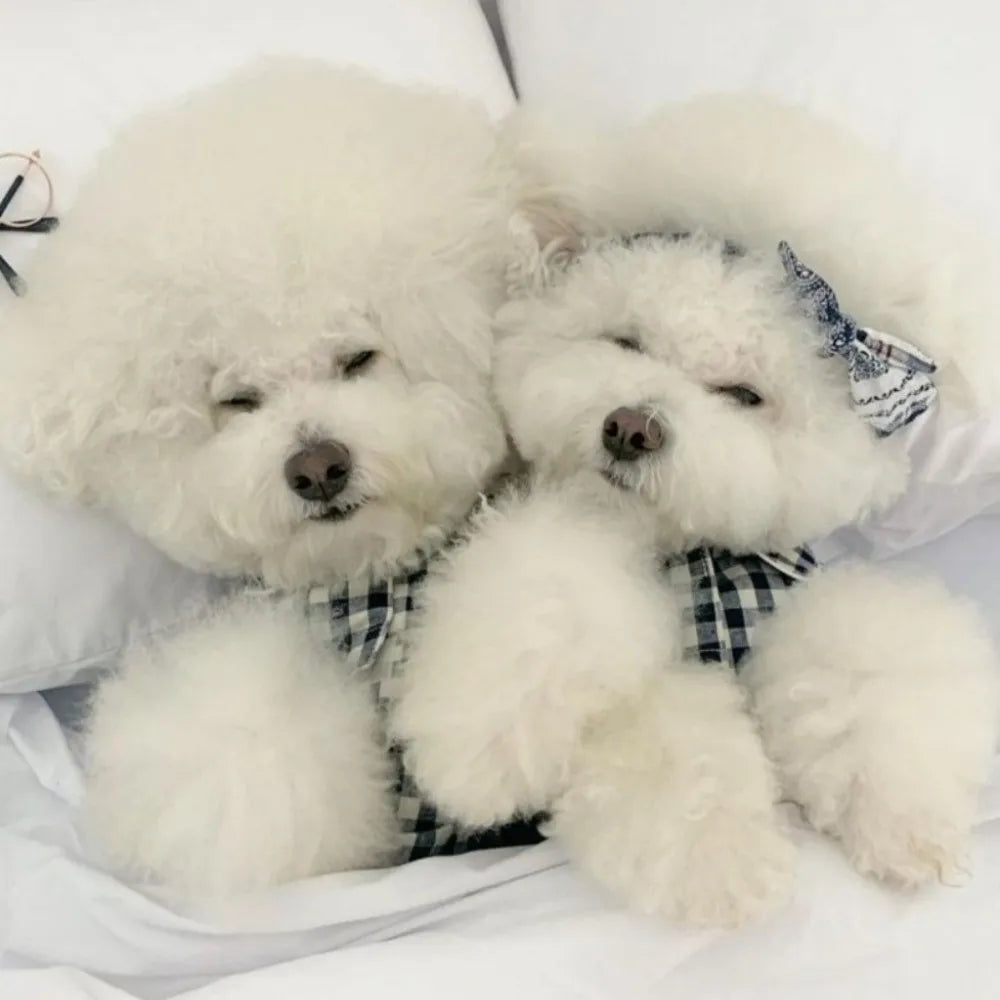 Pet Decoration Comfortable Ins Plaid Shirts Pet Clothing Elegant Fashion Dogs Pajamas Costume Cute Cat Dog Clothes Proposal