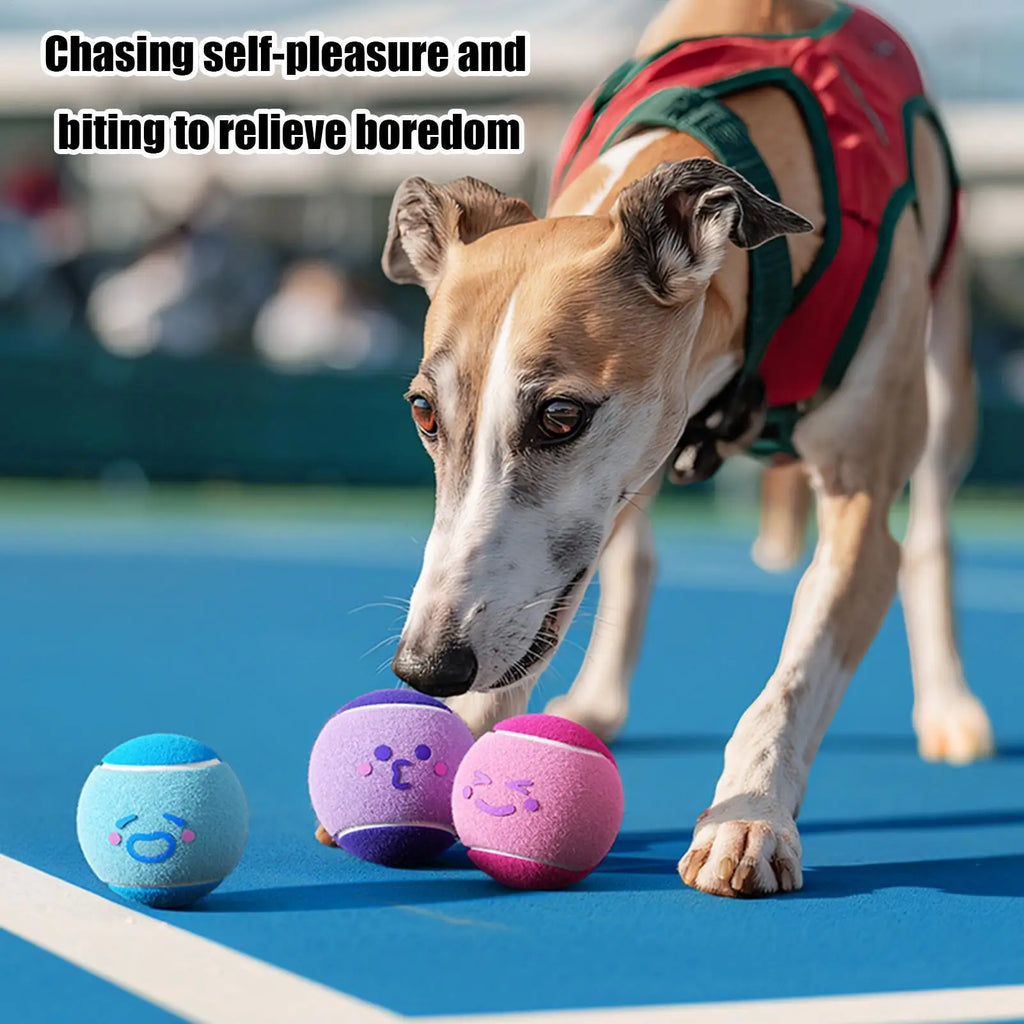 6pcs Pet Dog Tennis Balls, Interactive Toys For Dogs, Chew-resistant Durable Rubber Tennis Balls, Puppy Indoor Outdoor play Toys