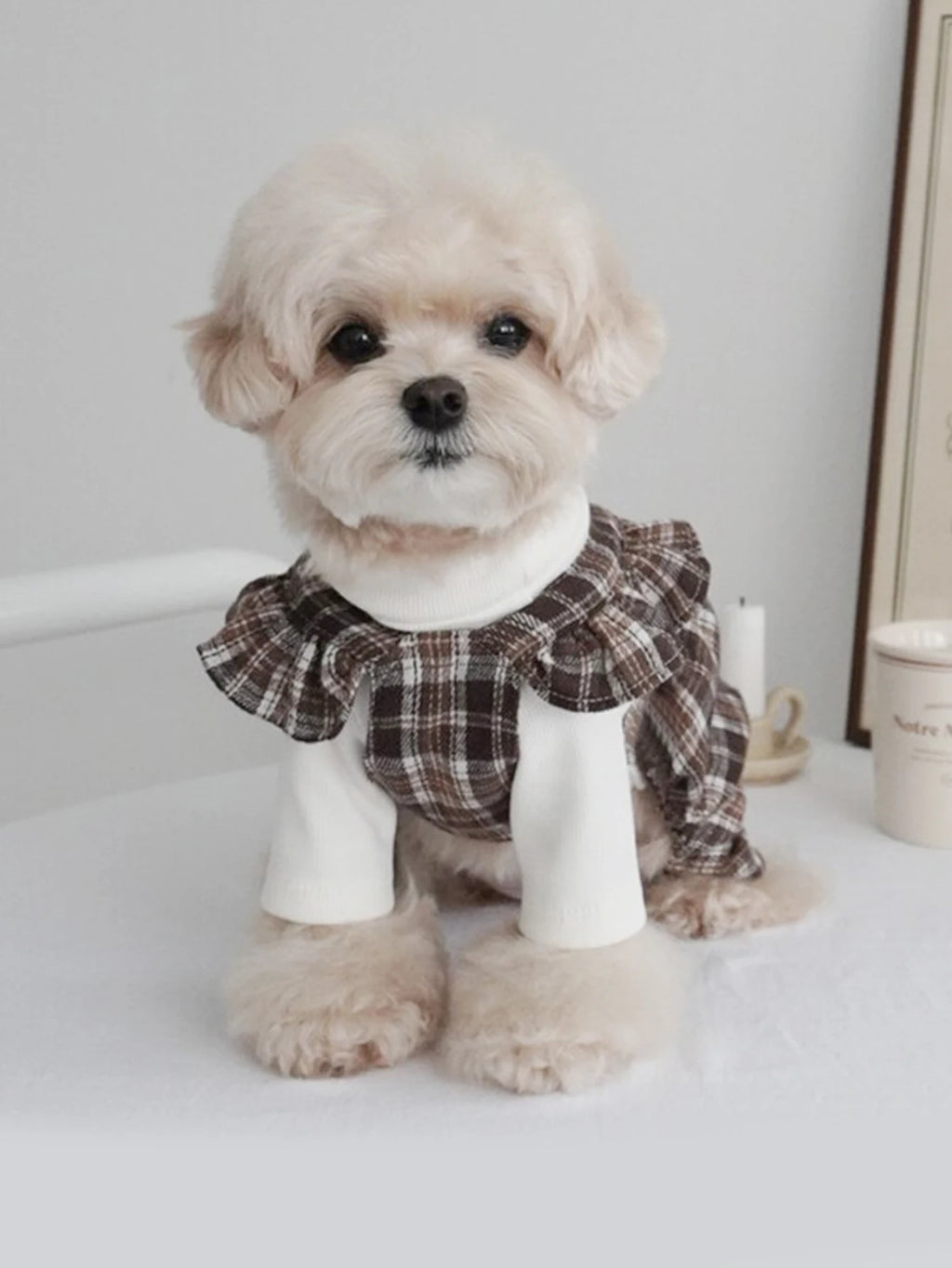 Pet Clothes Dog Dresses Princess Retro Plaid Bow Skirt Teddy Bichon Small Medium Dog Clothes Fashion Trend Decorative Clothing