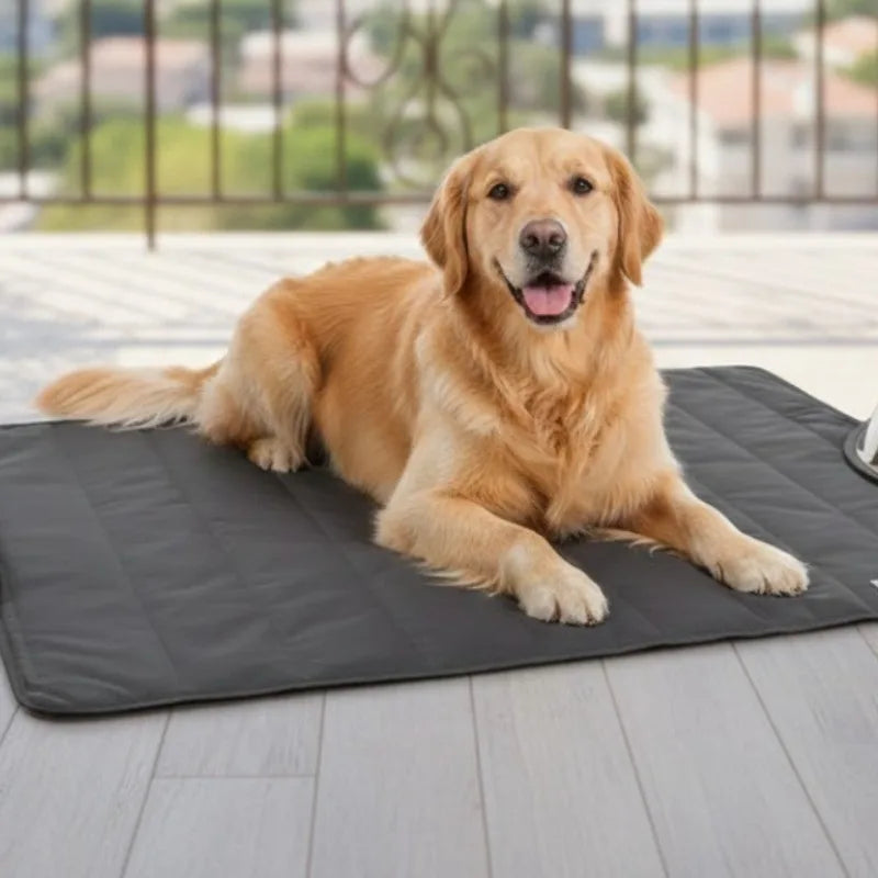 Pet Blanket Outdoor All Season Waterproof Warm Foldable Portable Dog Mat Travel Camping Sleeping Bed Pet Supplies Accessories
