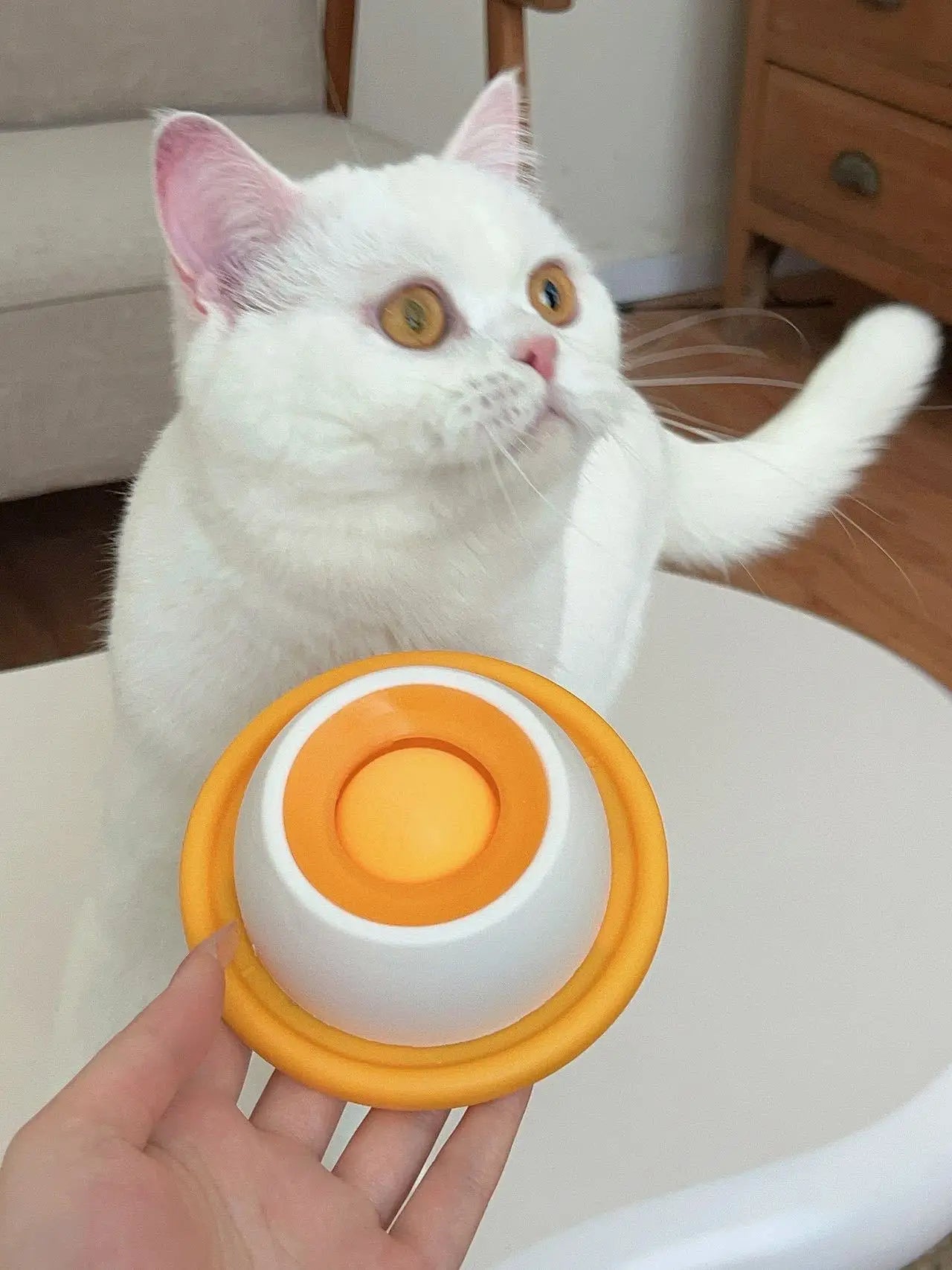 Dog interactive toys, feeding device, puppy training and intelligence toys, cat feeding cage
