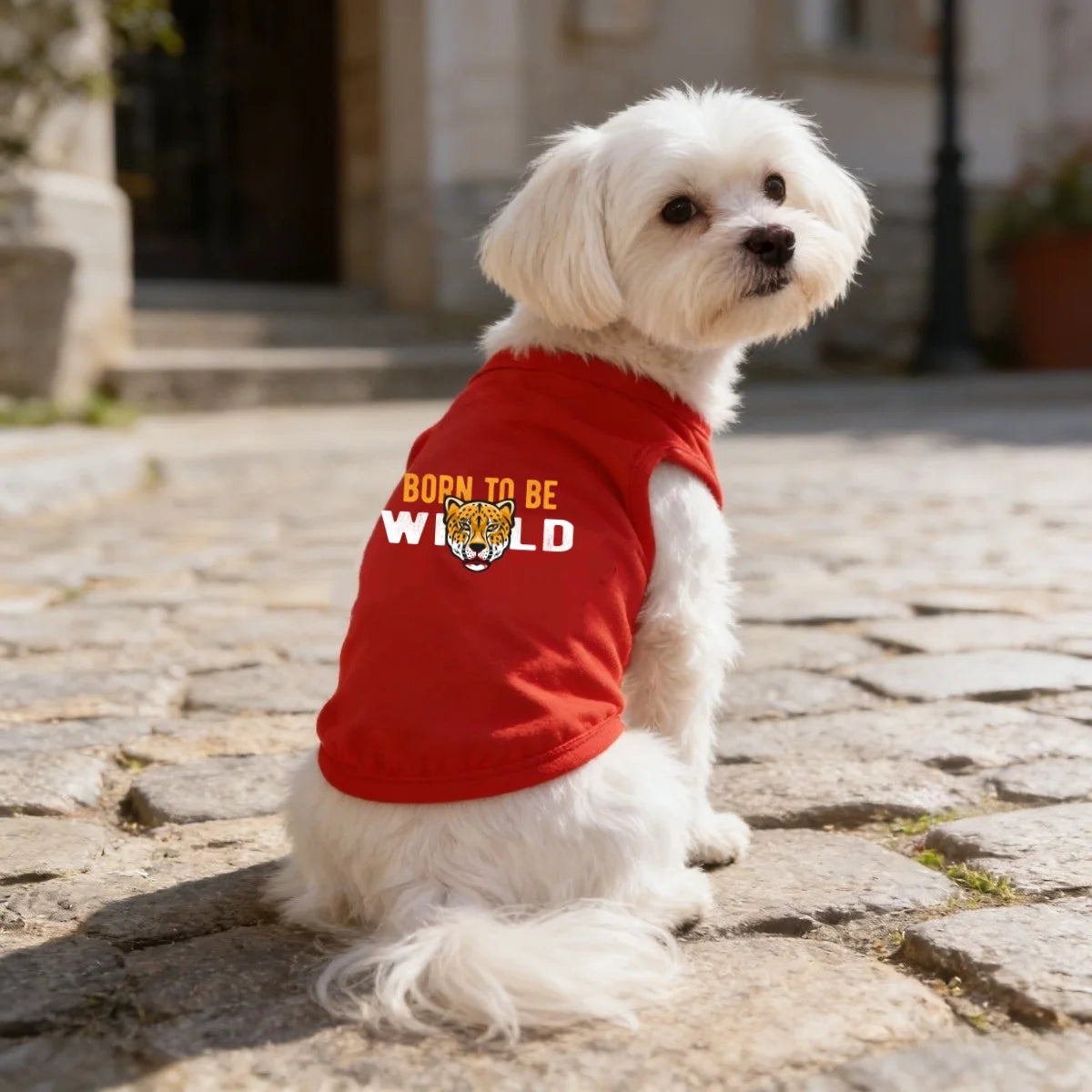 1pc  Fashion Printed Pet T-shirt, Made of Polyester Fiber Material, Suitable for Indoor and Outdoor Leisure, Entertainment