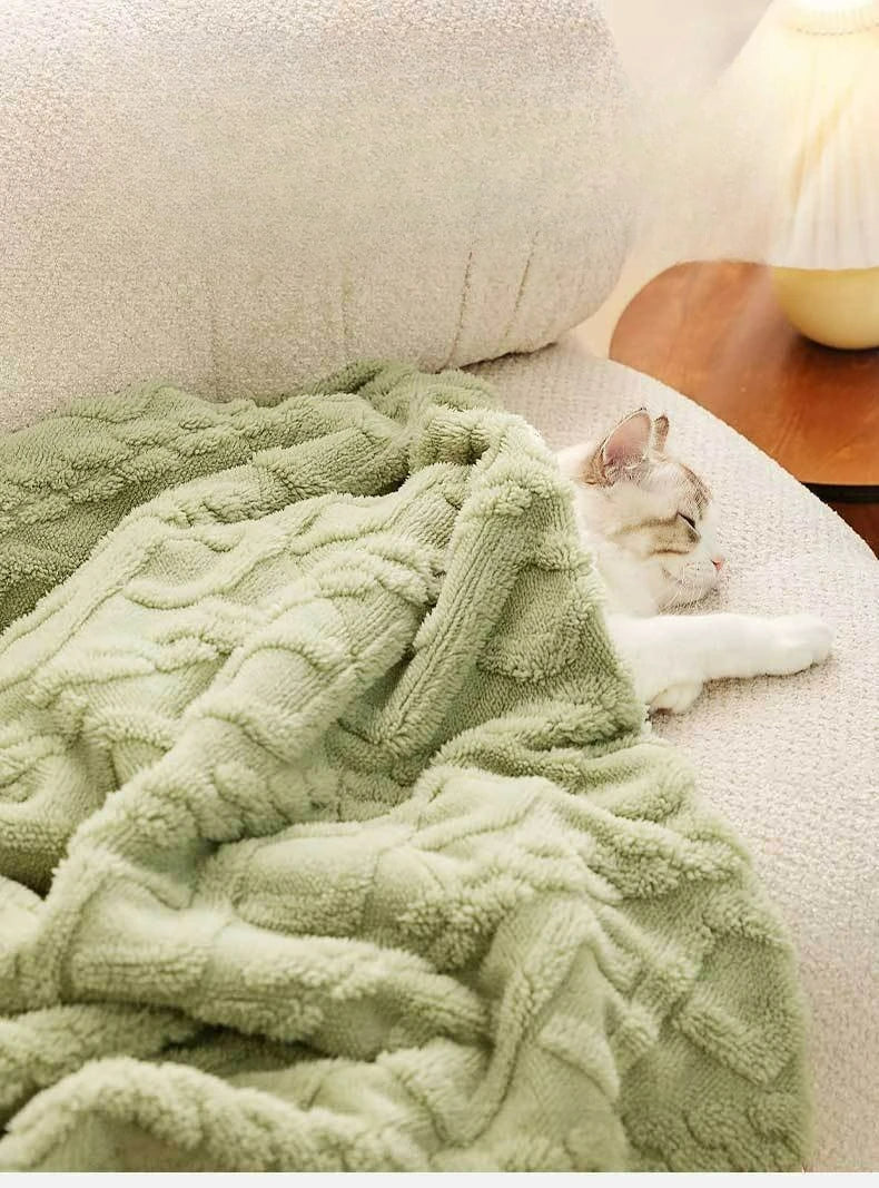 Thickened Pet Blanket Ultra-soft Pet Blanket Plush Pet Blanket for Dogs Cats Warm Soft Sleeping Mat Comfortable for Winter