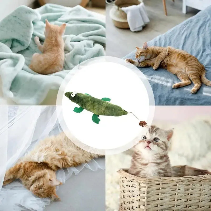Cat toys, with super soft wrinkled sounds, pet chewing toys, indoor toys for cats' teething interaction