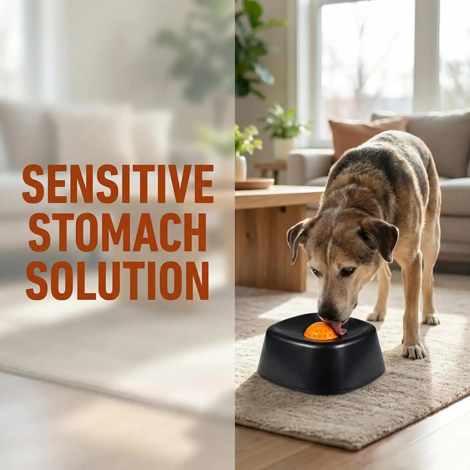 Dog lick Bowl Slow Feeder Dog Bowl for Liquid with Rolling Ball Interactive Lick Bowl AntiSlip for Wet Food Water Treat Lick Toy