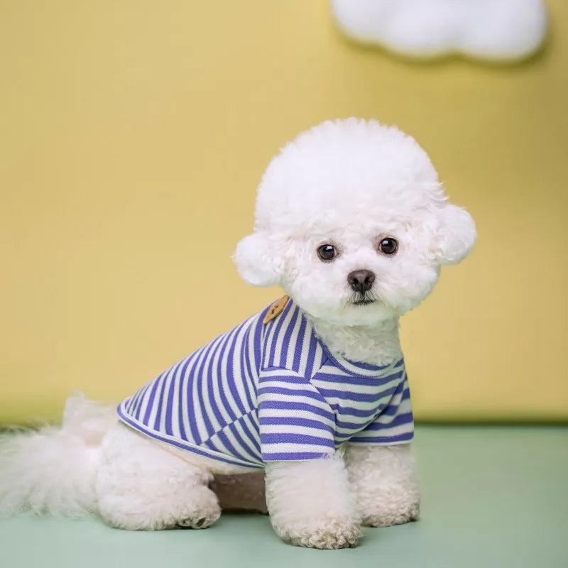 Summer Pet Clothes for Small Dogs Fashion Dog Shirt Bear Print Puppy Thin Shirt Cute Cat Strip Vest Chihuahua Clothes Pet Shirt