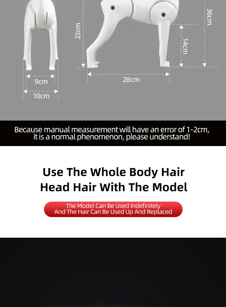 Pet simulation hair  beauty fake beautician practicing dog standard poodle full body  skeleton model dog for pet grooming