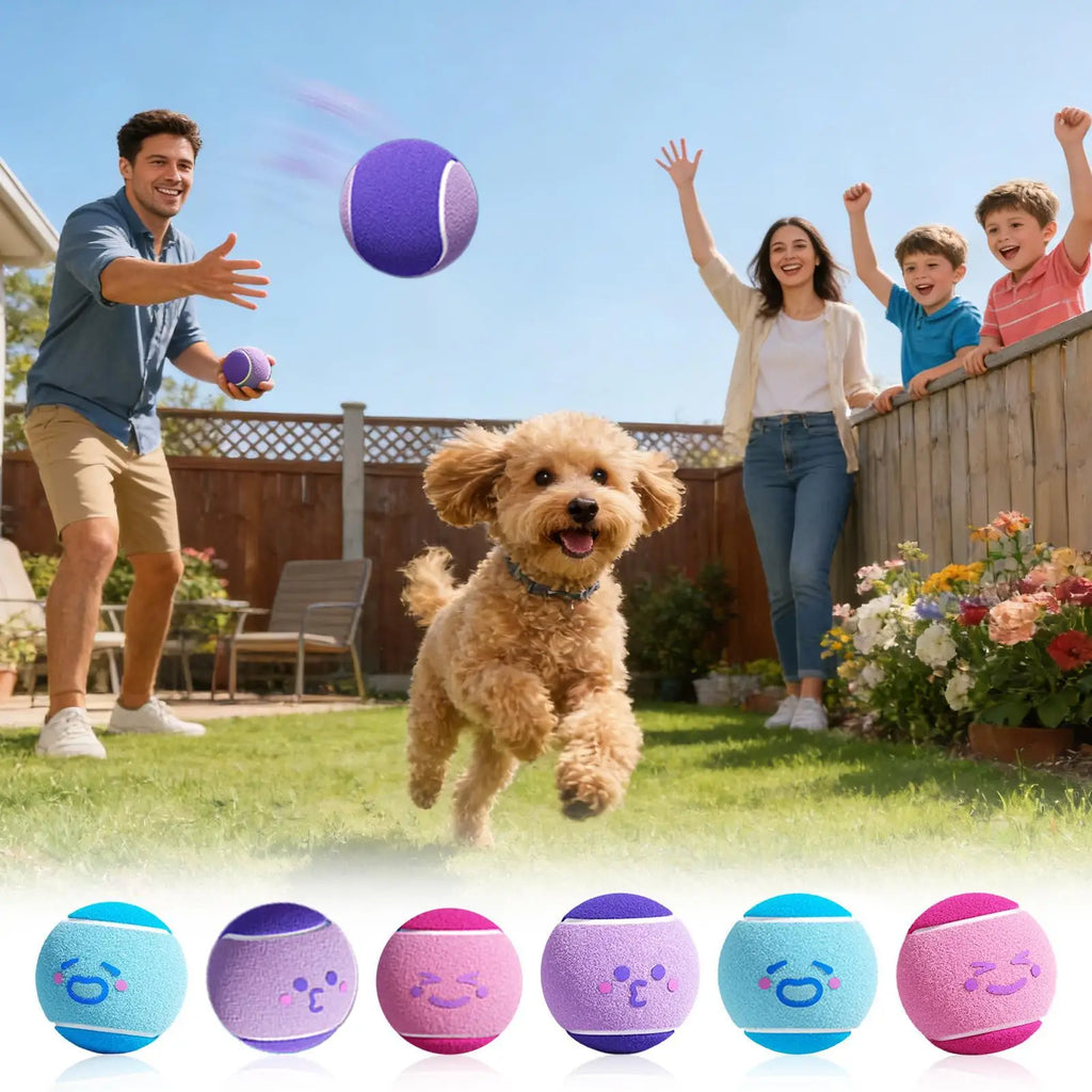 6pcs Pet Dog Tennis Balls, Interactive Toys For Dogs, Chew-resistant Durable Rubber Tennis Balls, Puppy Indoor Outdoor play Toys
