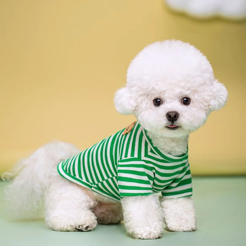Summer Pet Clothes for Small Dogs Fashion Dog Shirt Bear Print Puppy Thin Shirt Cute Cat Strip Vest Chihuahua Clothes Pet Shirt